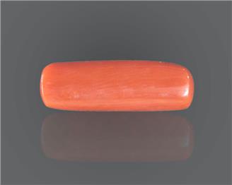 Natural Coral  8.66RTS-27553